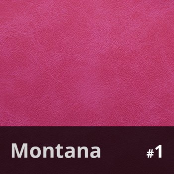Montana 19